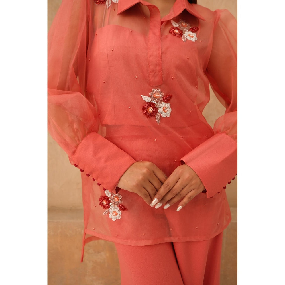 Rabnoor K Sethi Coral Organza Embroidered Co-Ord (Set of 2)