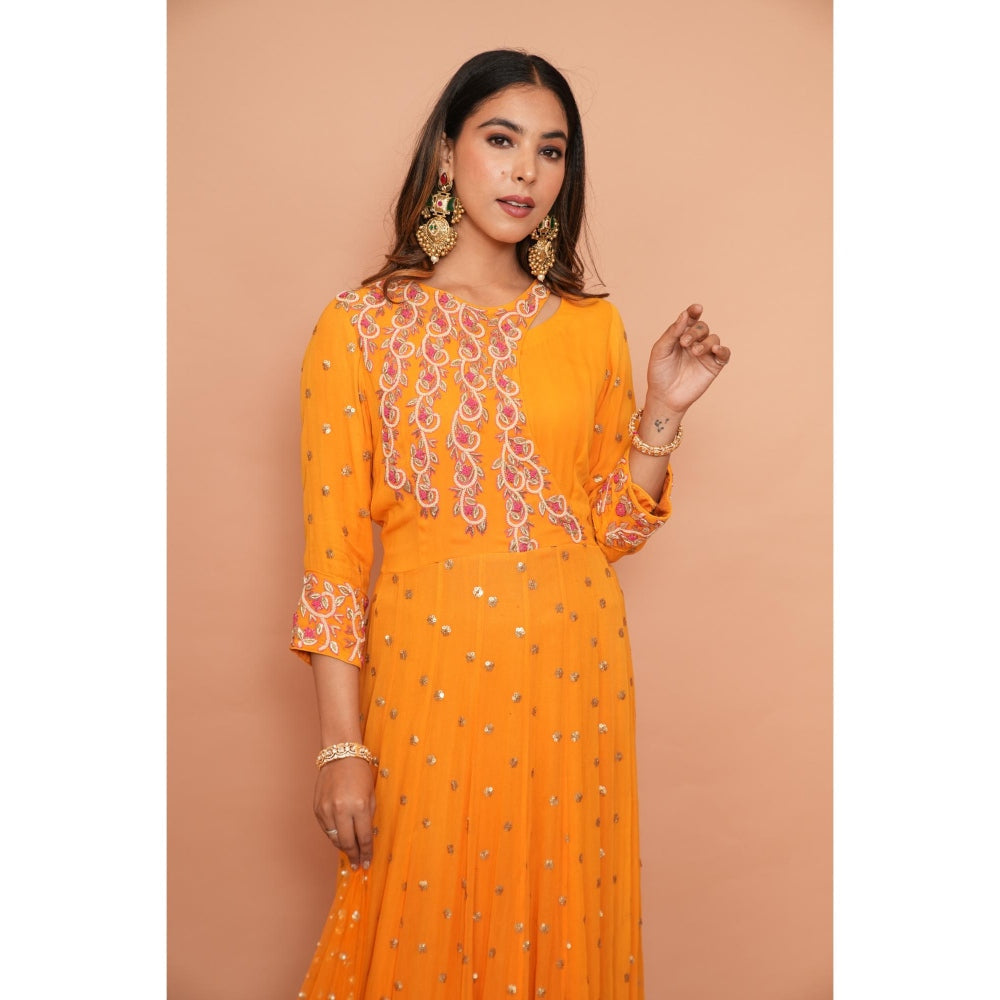 Rabnoor K Sethi Orange Heavy Embroidered Anarkali with Dupatta (Set of 2)