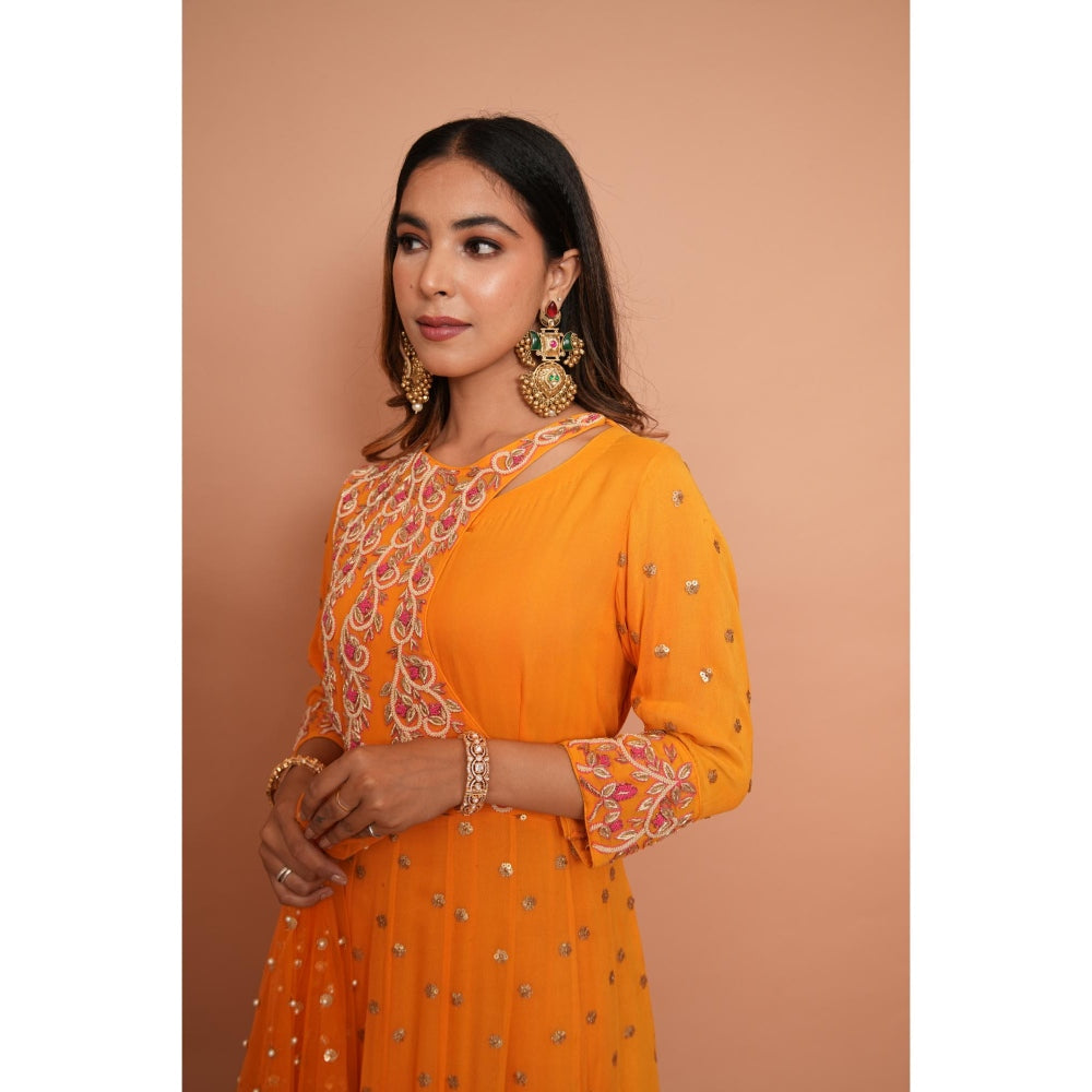 Rabnoor K Sethi Orange Heavy Embroidered Anarkali with Dupatta (Set of 2)