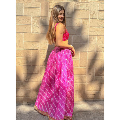 RAISHAA Pink Inaaya Festive Crop Top With Skirt (Set of 2)