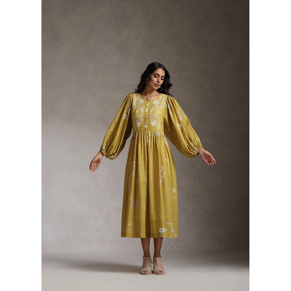 Raiman Enchanted Garden Butterfly Dress (Set of 2)