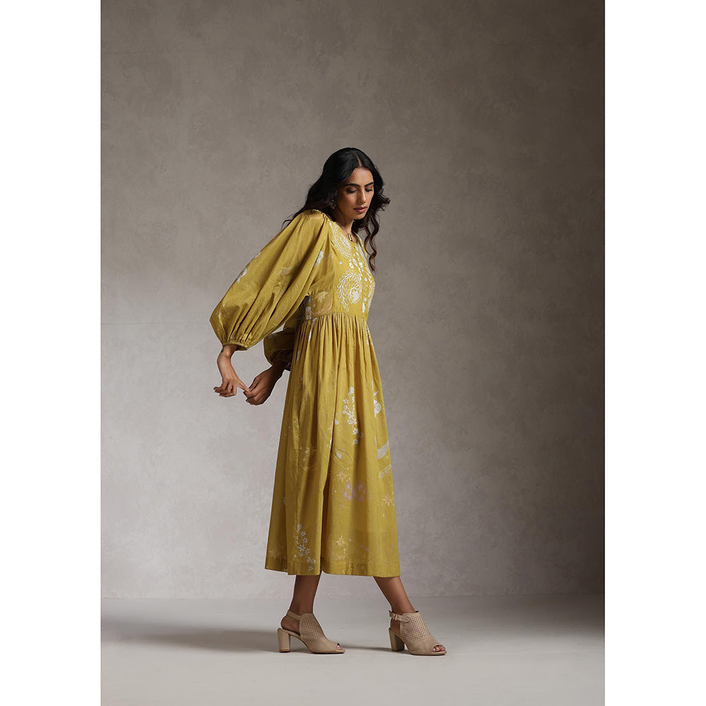 Raiman Enchanted Garden Butterfly Dress (Set of 2)