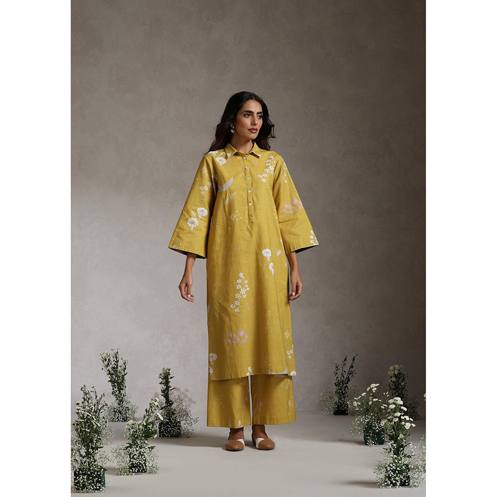 Raiman Enchanted Garden Floral Kurta and Pant (Set of 2)