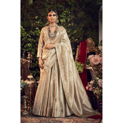 Ranian Champagne Lehenga with Blouse and Embellished Dupatta (Set of 3)