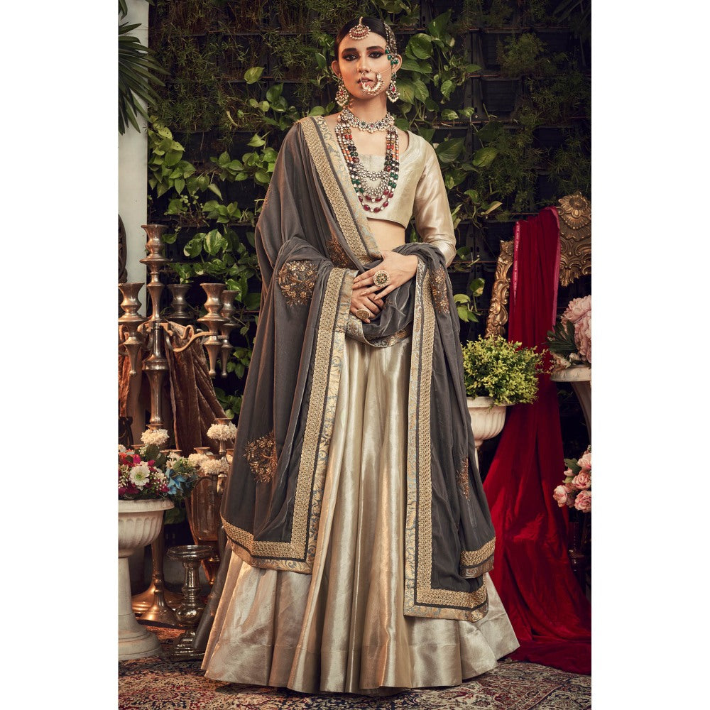 Ranian Beige Lehenga and Blouse with Grey Velvet Dupatta (Set of 3)