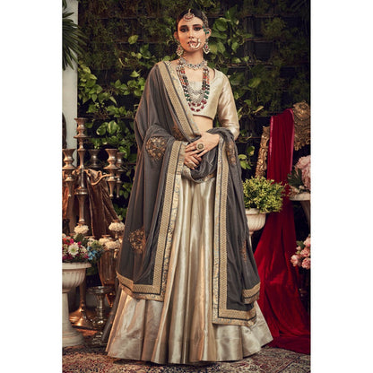 Ranian Beige Lehenga and Blouse with Grey Velvet Dupatta (Set of 3)