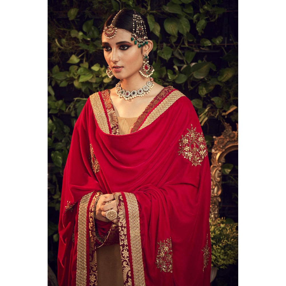 Ranian Oxidized Gold Sharara and Kurti with Red Velvet Dupatta (Set of 3)