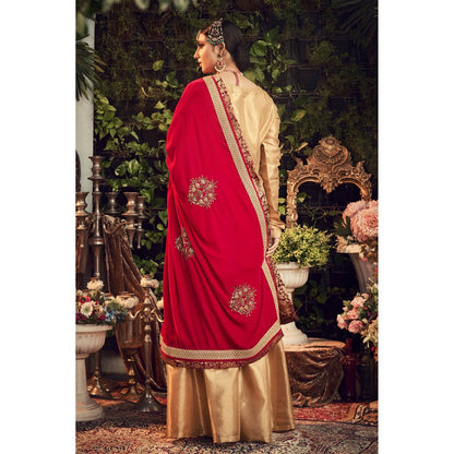 Ranian Oxidized Gold Sharara and Kurti with Red Velvet Dupatta (Set of 3)