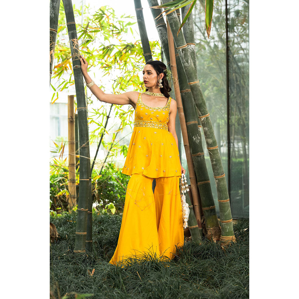 Rashika Sharma Aabira Kurta with Sharara and Dupatta (Set of 3)