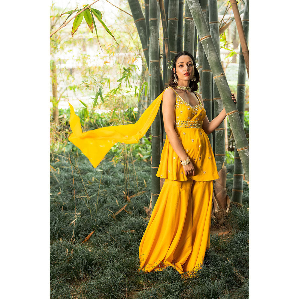 Rashika Sharma Aabira Kurta with Sharara and Dupatta (Set of 3)