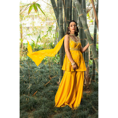 Rashika Sharma Aabira Kurta with Sharara and Dupatta (Set of 3)