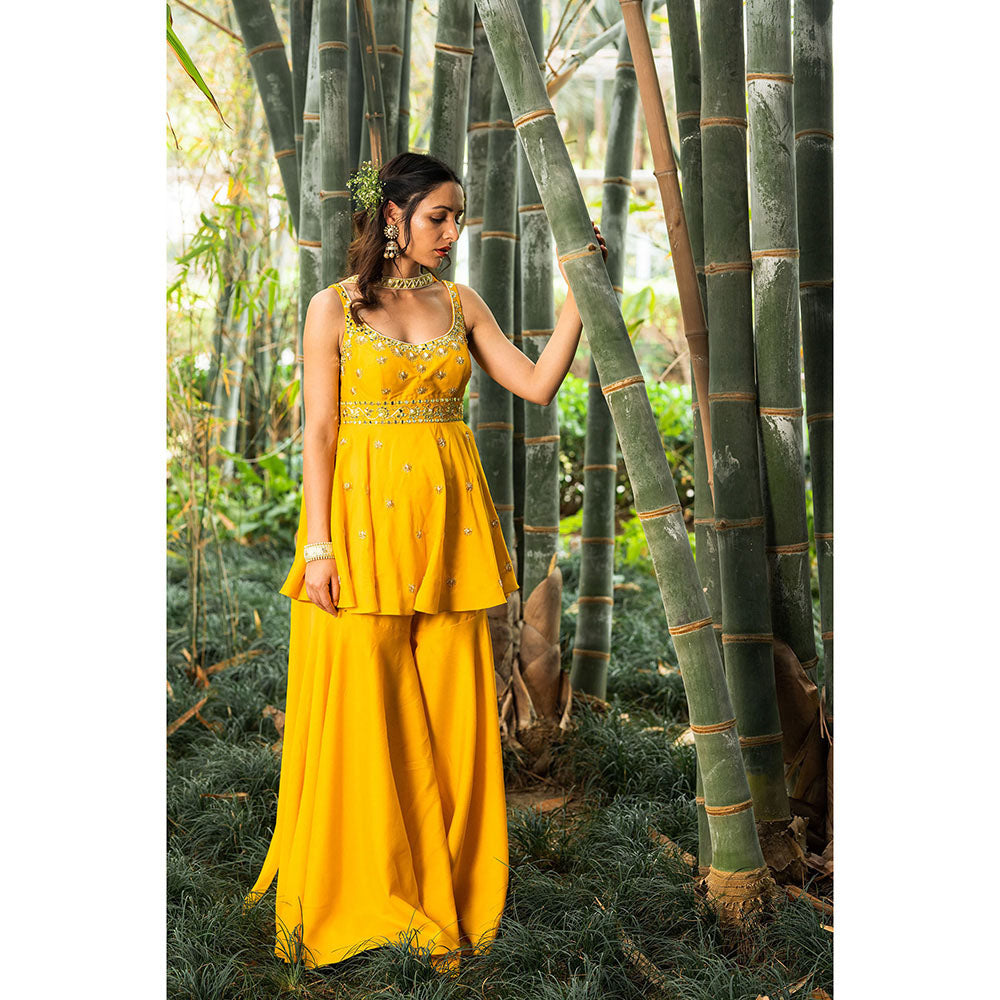 Rashika Sharma Aabira Kurta with Sharara and Dupatta (Set of 3)