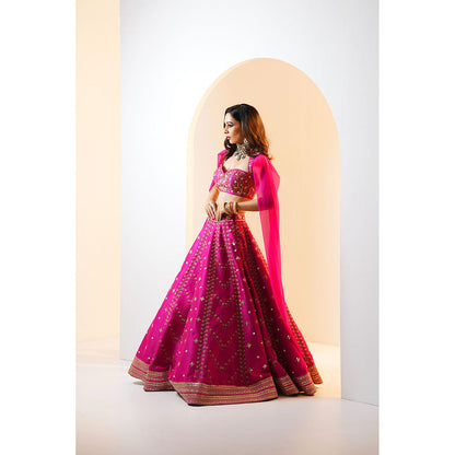 Rashika Sharma Rania Blouse and Lehenga (Set of 2)