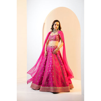 Rashika Sharma Rania Blouse and Lehenga (Set of 2)