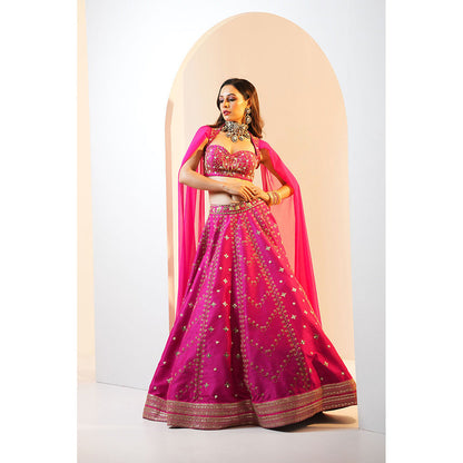 Rashika Sharma Rania Blouse and Lehenga (Set of 2)