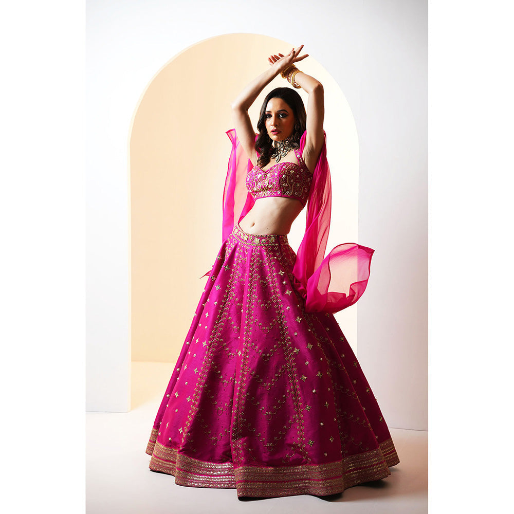 Rashika Sharma Rania Blouse and Lehenga (Set of 2)