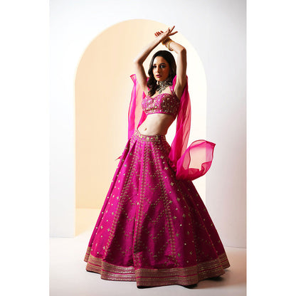 Rashika Sharma Rania Blouse and Lehenga (Set of 2)