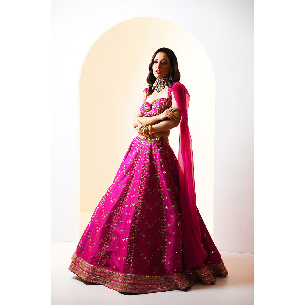 Rashika Sharma Rania Blouse and Lehenga (Set of 2)