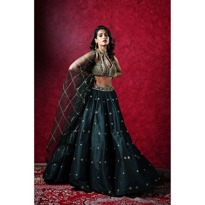 Rashika Sharma Jeeva Blouse and Lehenga with Dupatta (Set of 3)