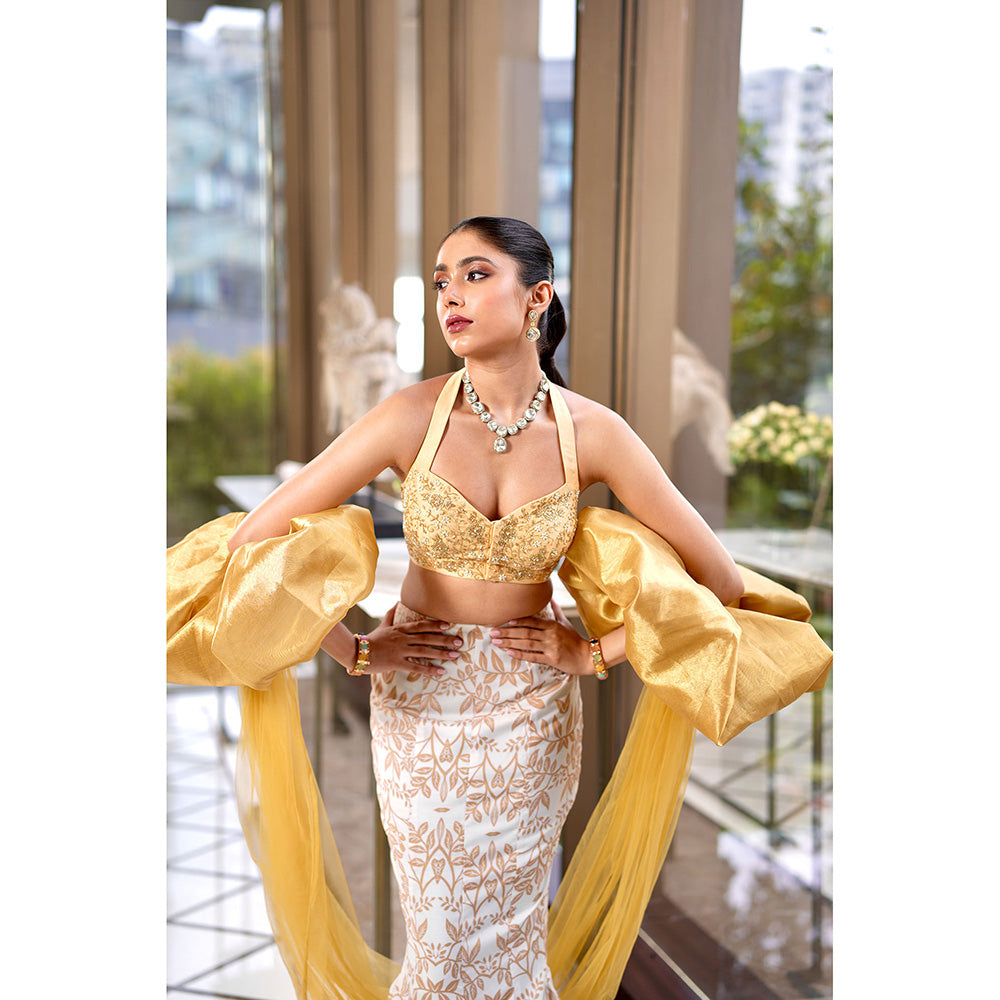 Rashika Sharma Nisha Blouse and Skirt with Dupatta (Set of 3)