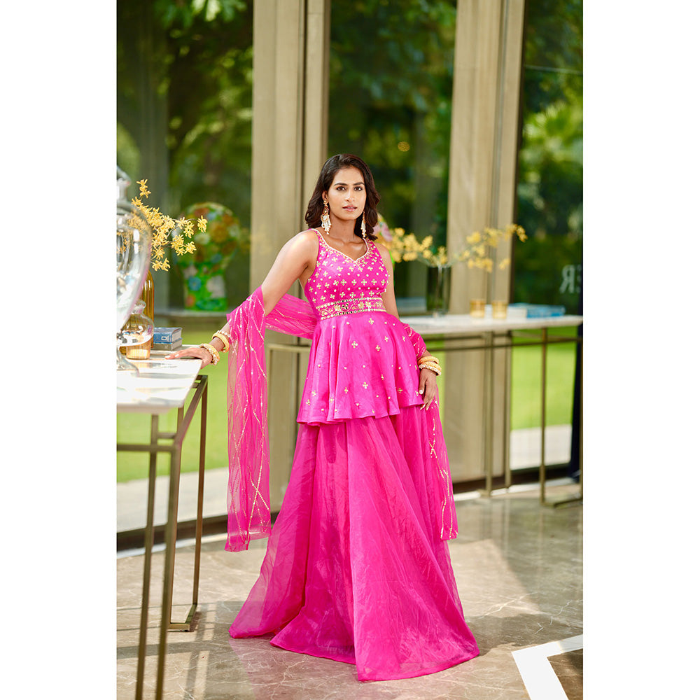 Rashika Sharma Raya Kurta and Sharara and Dupatta (Set of 3)