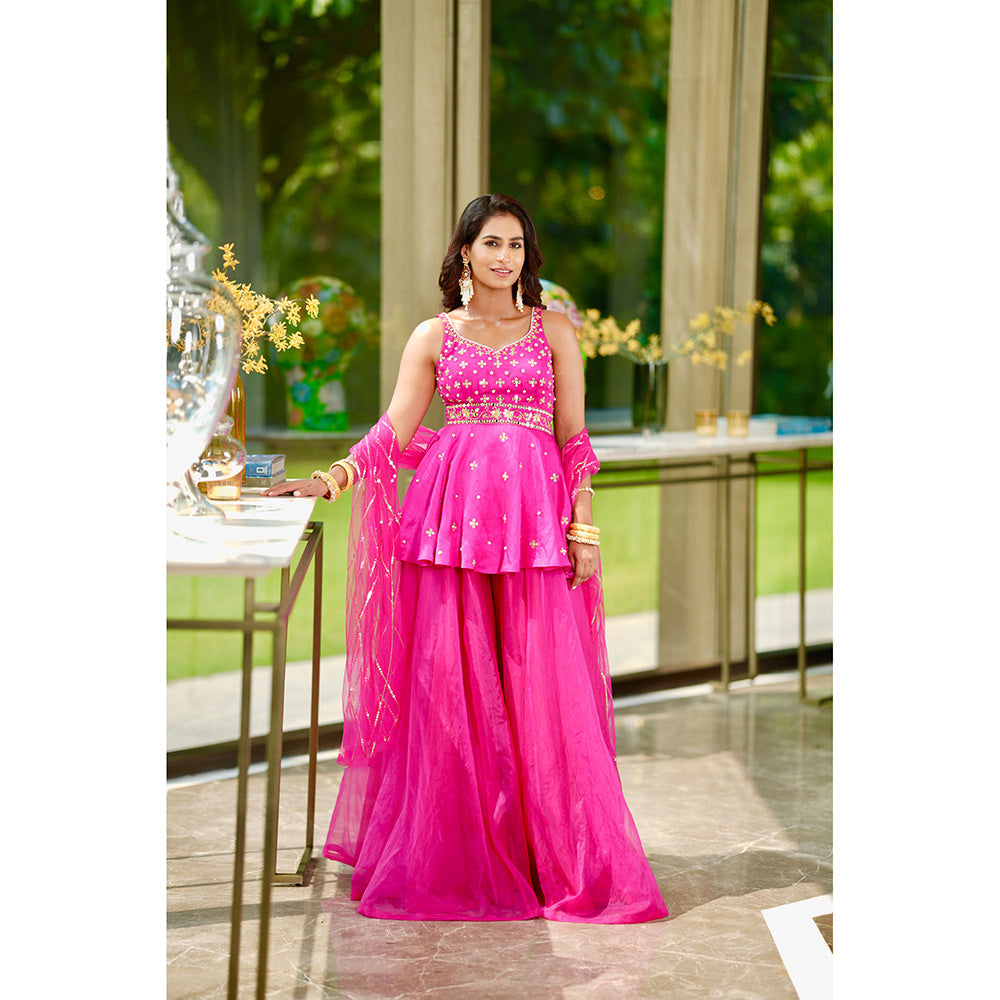 Rashika Sharma Raya Kurta and Sharara and Dupatta (Set of 3)