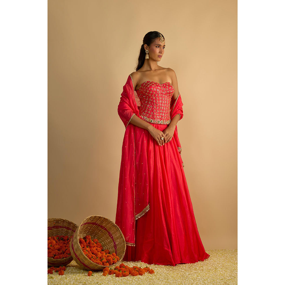 RAYASHA KHAN Pink Crimson Blush Corset Top with Lehenga and Dupatta