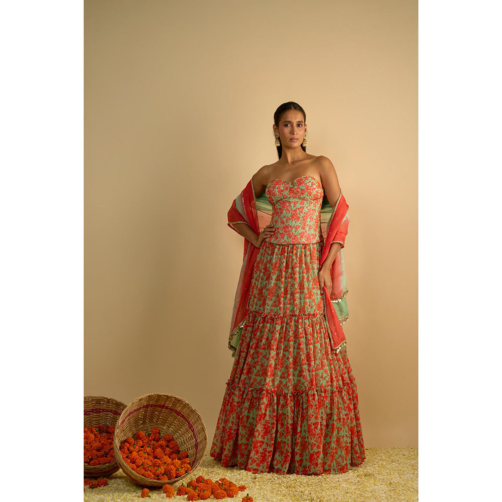 RAYASHA KHAN Green Printed Georgette Corset Top with Lehenga and Dupatta