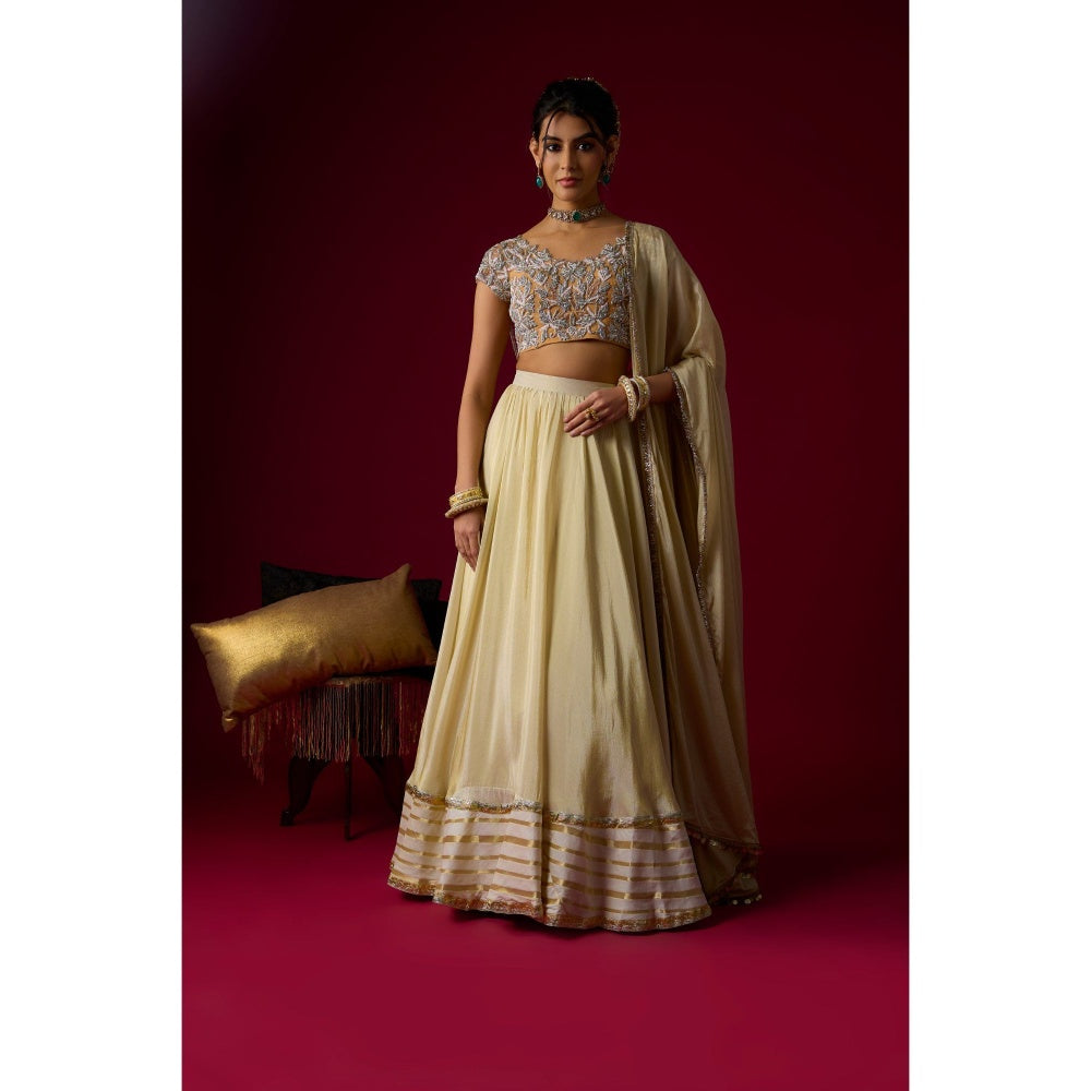RAYASHA KHAN Beige Tissue Lehenga with Blouse and Dupatta