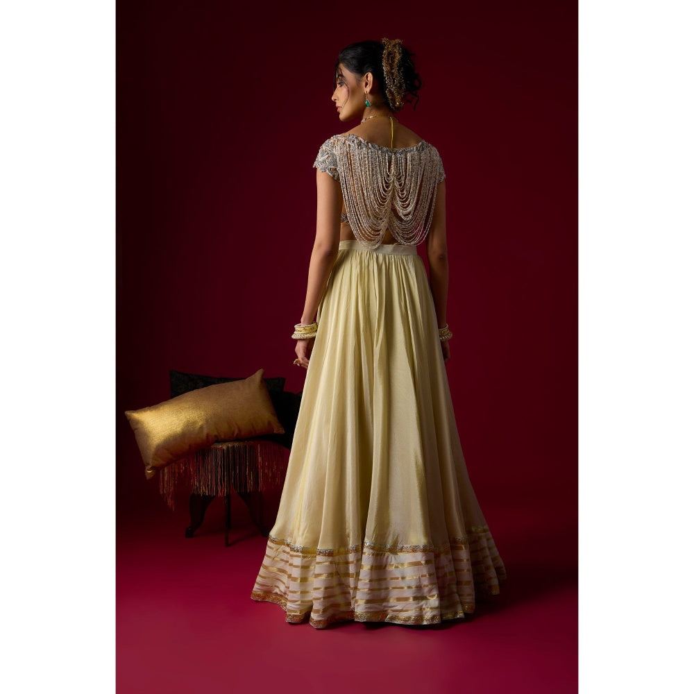 RAYASHA KHAN Beige Tissue Lehenga with Blouse and Dupatta