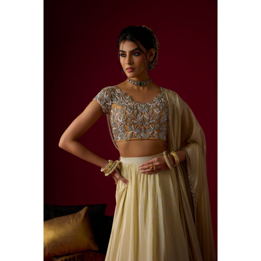 RAYASHA KHAN Beige Tissue Lehenga with Blouse and Dupatta