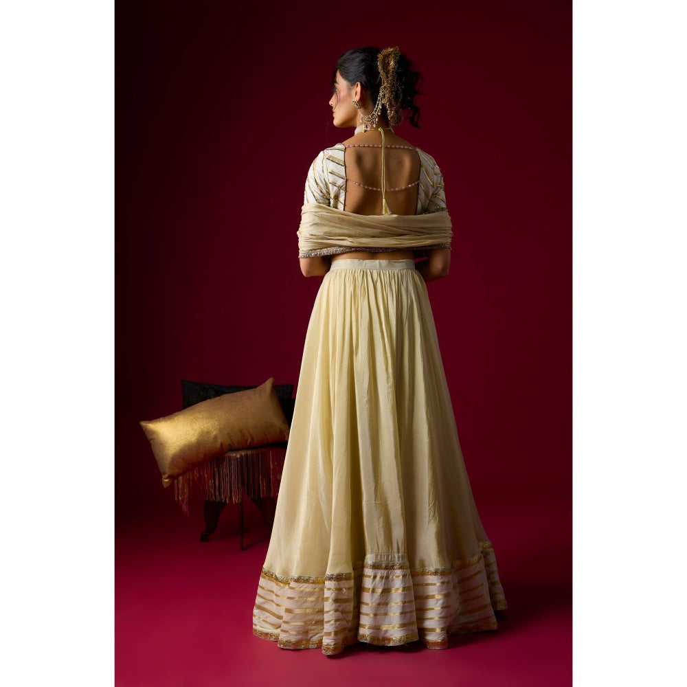 RAYASHA KHAN Gold Tissue Lehenga with Blouse and Dupatta