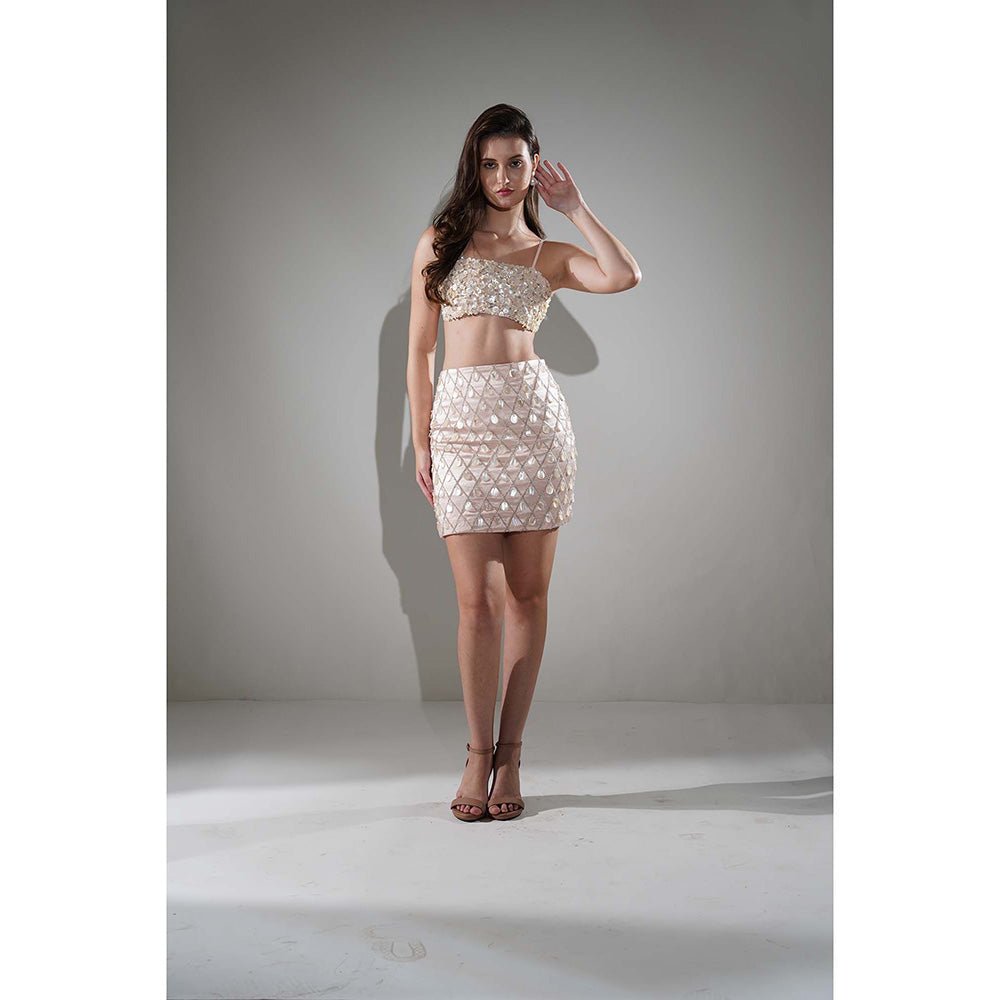 Realm By Vaishali Beige Madeline Salmon Beige Embellished Bustier with Skirt (Set of 2)