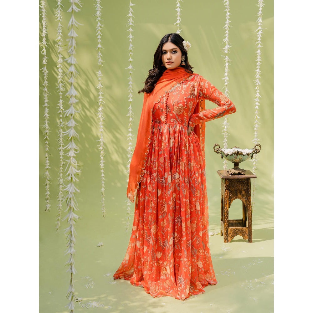 Redpine Designs Orange Embroidered Anarkali with Dupatta (Set of 2)
