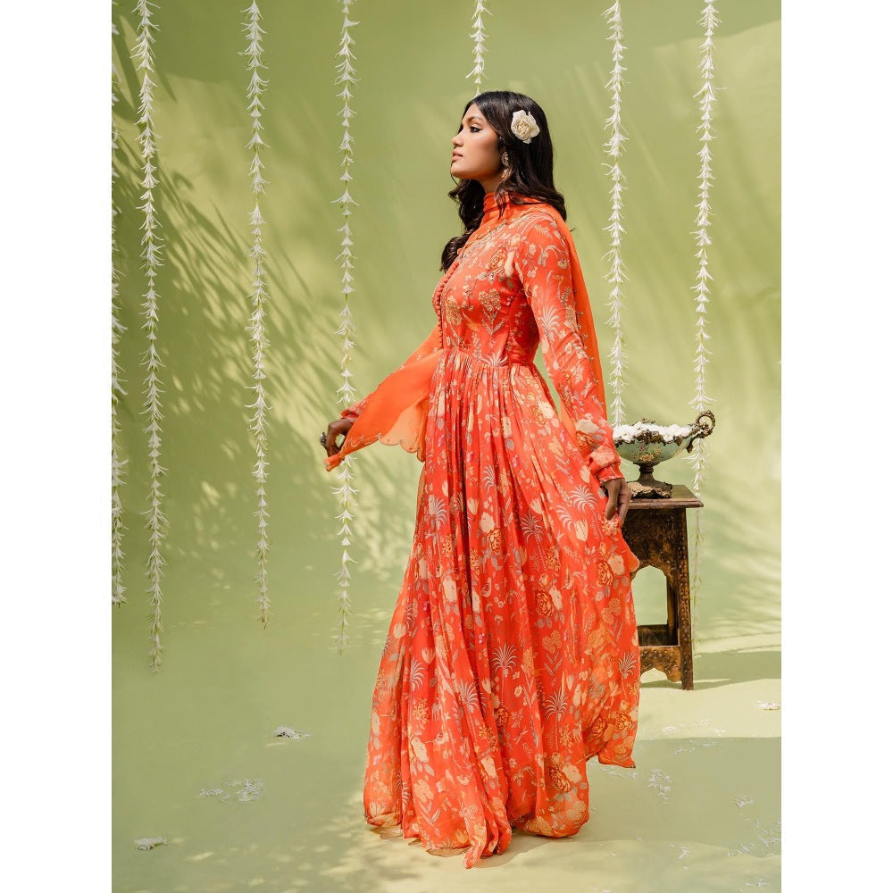 Redpine Designs Orange Embroidered Anarkali with Dupatta (Set of 2)