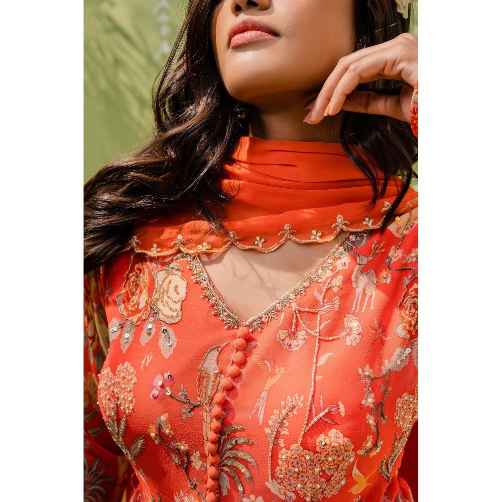 Redpine Designs Orange Embroidered Anarkali with Dupatta (Set of 2)