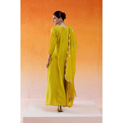 Redpine Designs Daisy Green Embroidered Anarkali with Pant and Dupatta (Set of 3)