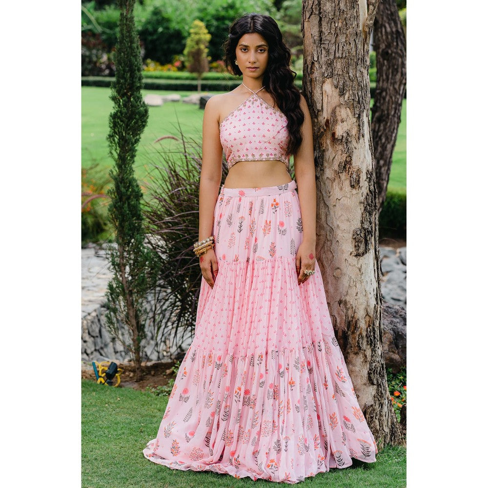 Redpine Designs Blush Pink Floral Printed Embroidered Crop Top with Skirt (Set of 2)