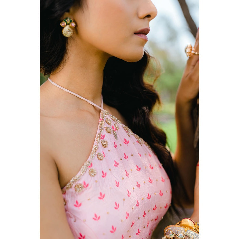 Redpine Designs Blush Pink Floral Printed Embroidered Crop Top with Skirt (Set of 2)