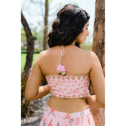 Redpine Designs Blush Pink Floral Printed Embroidered Crop Top with Skirt (Set of 2)