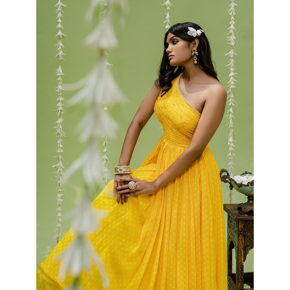 Redpine Designs Sunny Yellow Printed Embroidered Gown