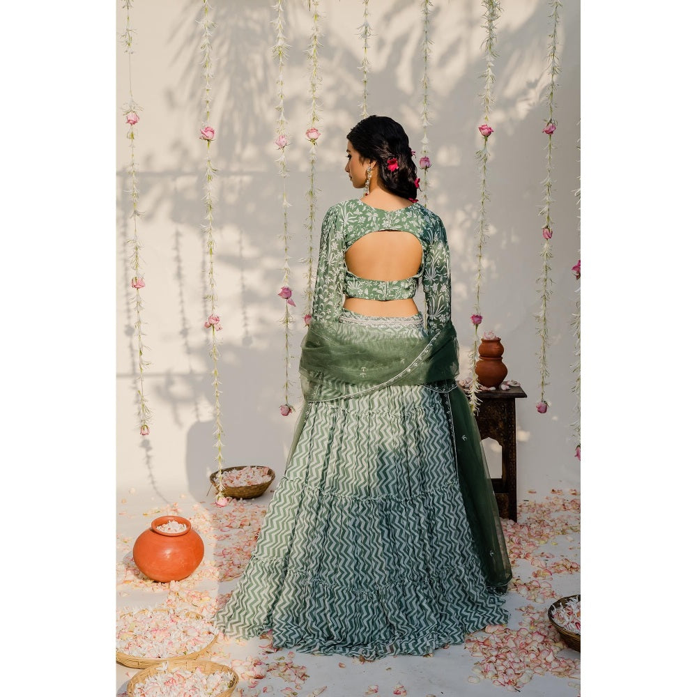 Redpine Designs Olive Embroidered Lehenga with Blouse, Dupatta and Belt (Set of 4)