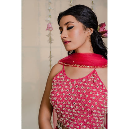 Redpine Designs Pink Mirror Lehenga with Blouse and Dupatta (Set of 3)