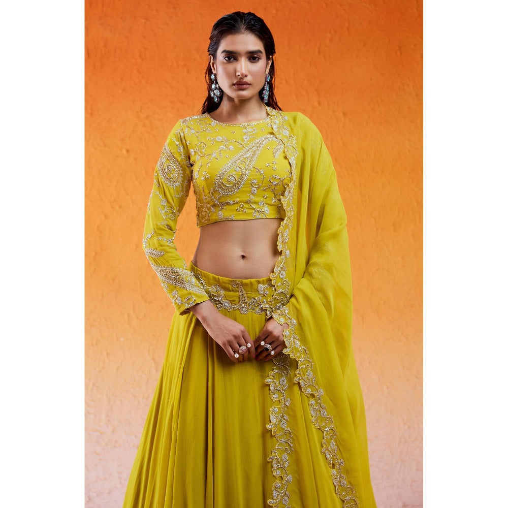 Redpine Designs Daisy Yellow Embellished Lehenga with Blouse and Dupatta (Set of 3)