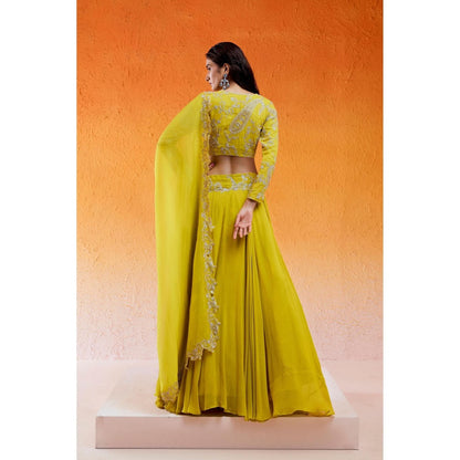 Redpine Designs Daisy Yellow Embellished Lehenga with Blouse and Dupatta (Set of 3)