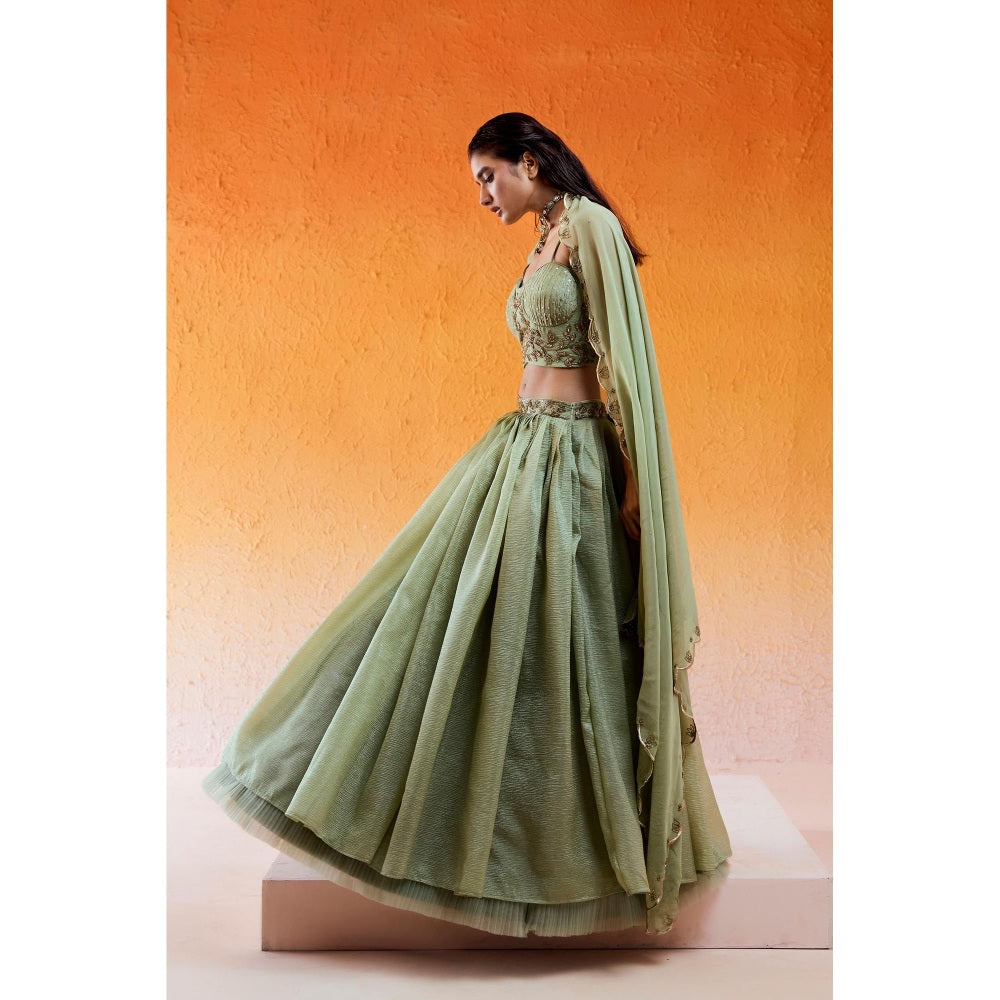 Redpine Designs Pista Green Embroidered Lehenga with Blouse and Dupatta (Set of 3)