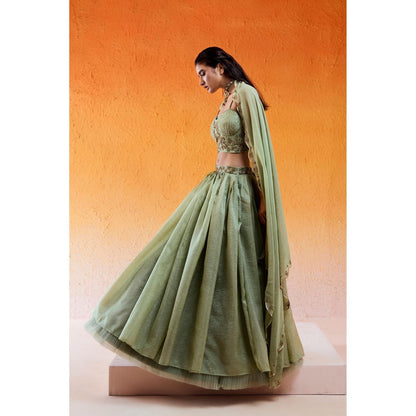 Redpine Designs Pista Green Embroidered Lehenga with Blouse and Dupatta (Set of 3)