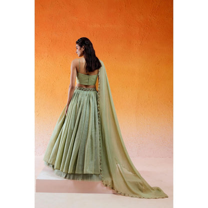 Redpine Designs Pista Green Embroidered Lehenga with Blouse and Dupatta (Set of 3)