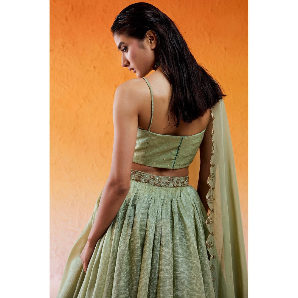 Redpine Designs Pista Green Embroidered Lehenga with Blouse and Dupatta (Set of 3)