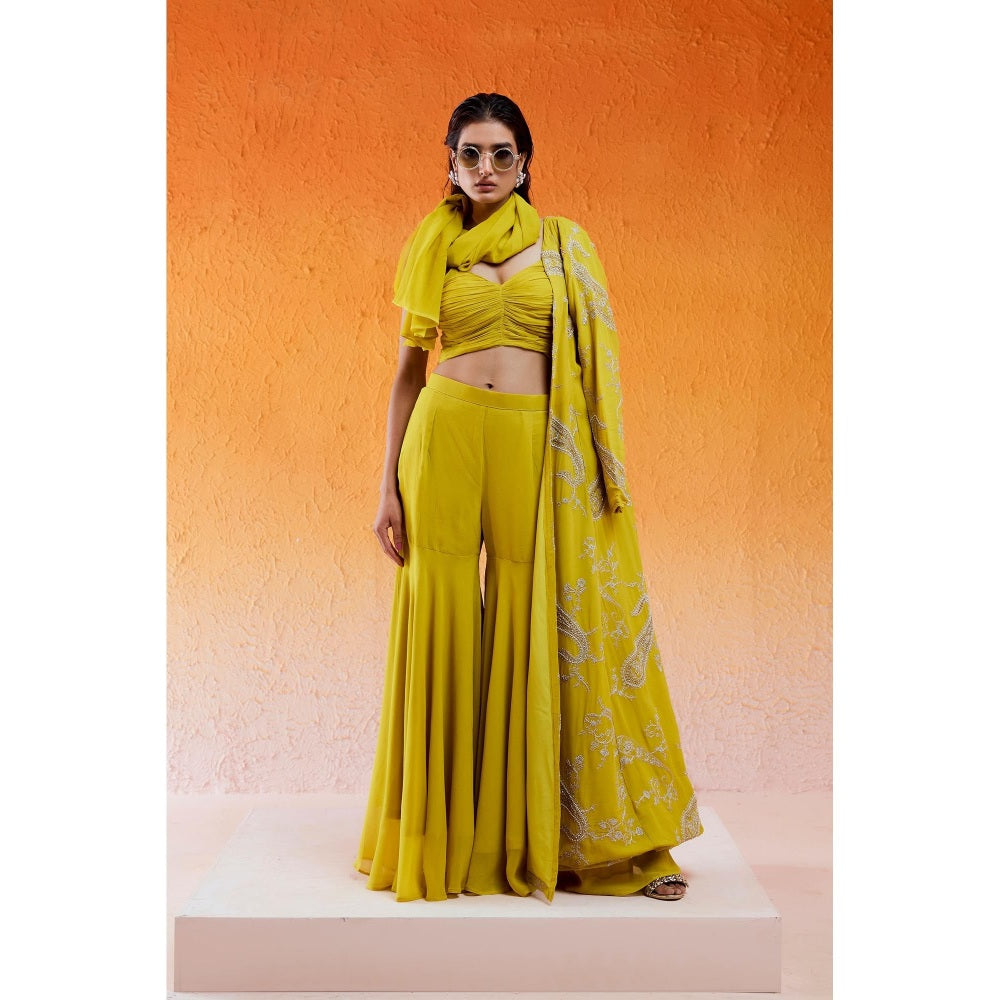 Redpine Designs Daisy Yellow Embroidered Jacket with Sharara and Bustier (Set of 3)